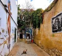 1º ACCÉSIT El Patio de su Casa. Elena Cobo Gámez
